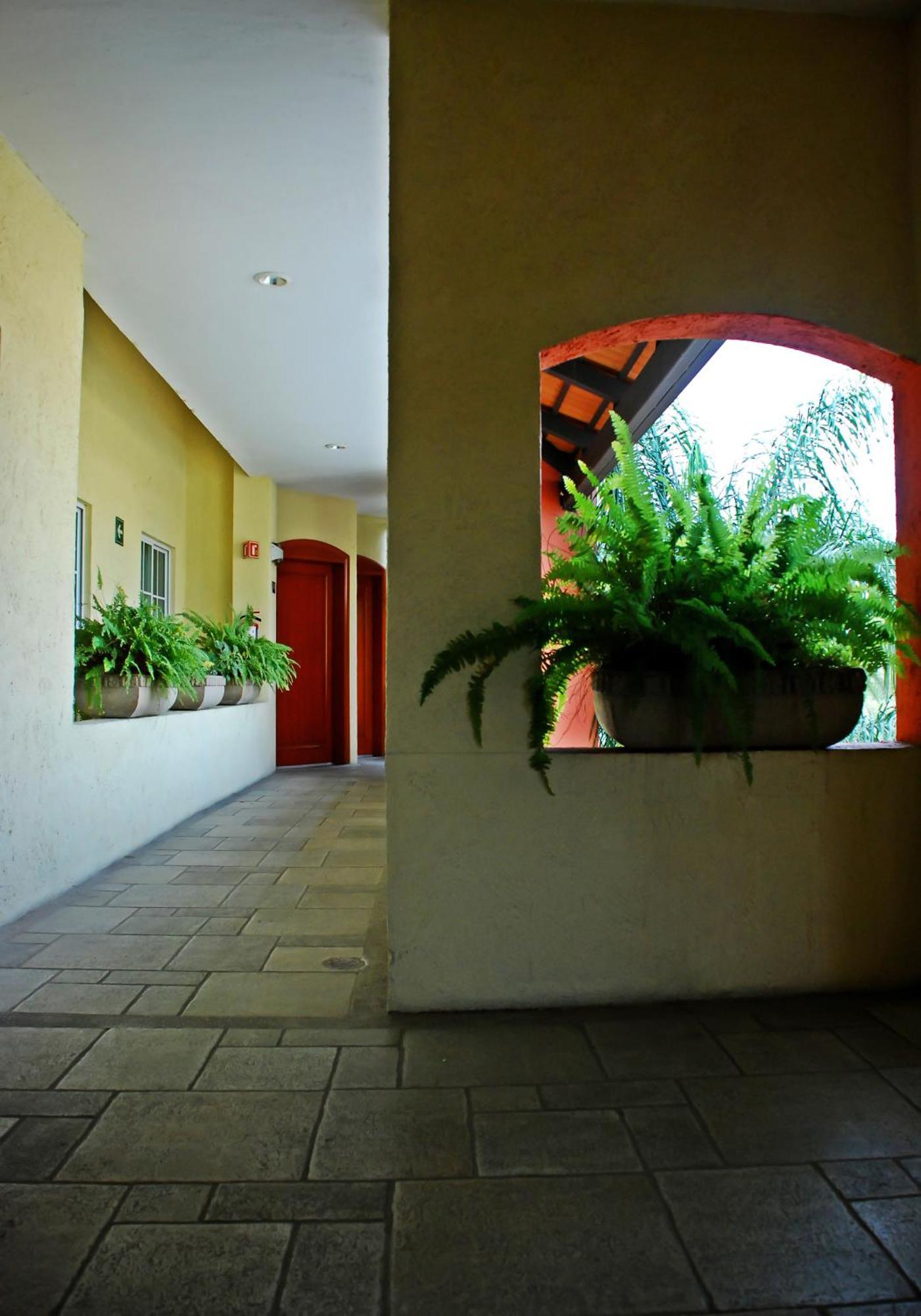Aurea Hotel And Suites Zapopan Zewnętrze zdjęcie